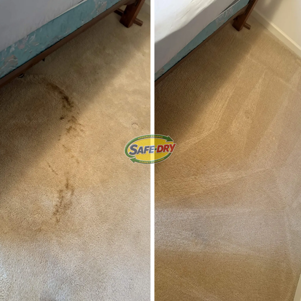 Before and After Carpet Cleaning